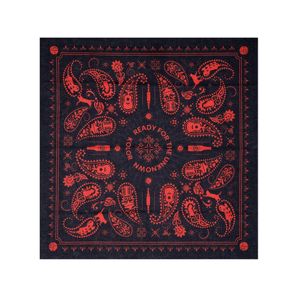 KOLOR 20周年 42CM X 42Cm 紀念巾