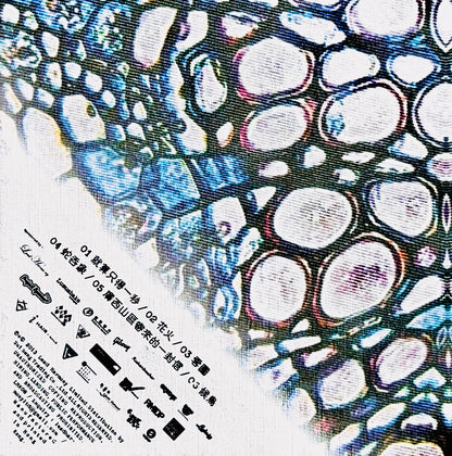 KOLOR Neverending EP